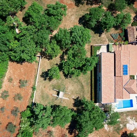 Bella Vista Poletti Markovac