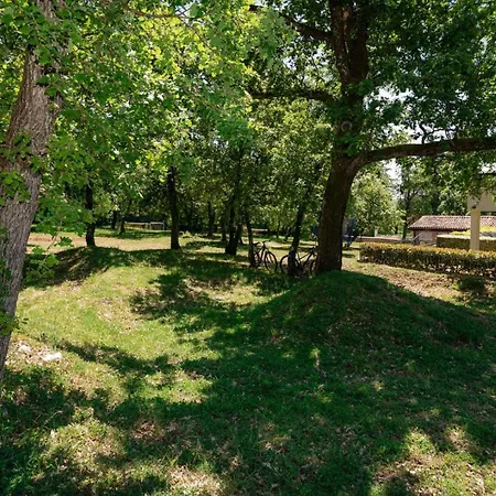 Villa Bella Vista Poletti Markovac